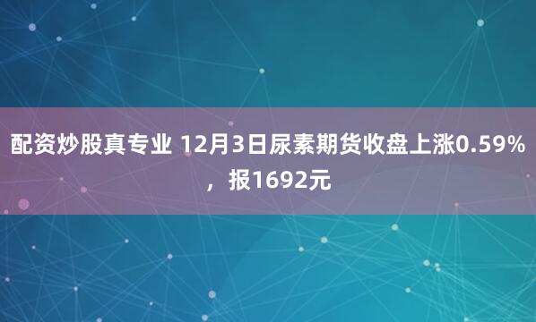 配资炒股真专业 12月3日尿素期货收盘上涨0.59%，报1692元
