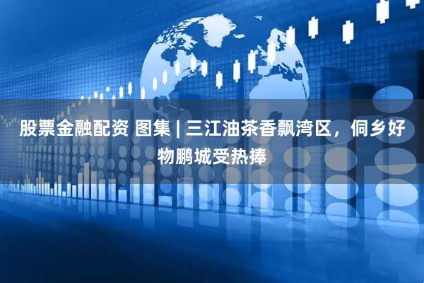 股票金融配资 图集 | 三江油茶香飘湾区，侗乡好物鹏城受热捧